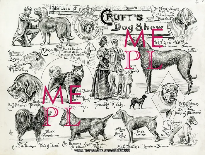 : Cruft's Dog Show - dogs and owners : Cruft's Dog Show - dogs and owners