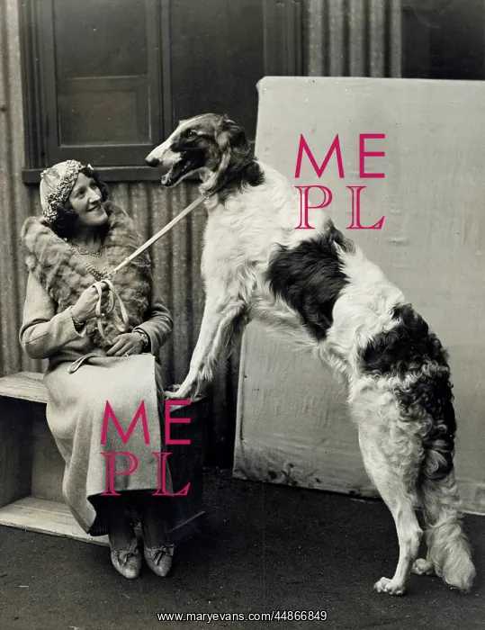 : CRUFTS PRIZEWINNER 1933 : CRUFTS PRIZEWINNER 1933