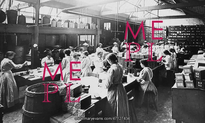 : Crumpsall CWS Biscuit Factory in 1908 : Crumpsall CWS Biscuit Factory in 1908
