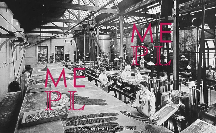 : Crumpsall CWS Biscuit Factory in 1908 : Crumpsall CWS Biscuit Factory in 1908