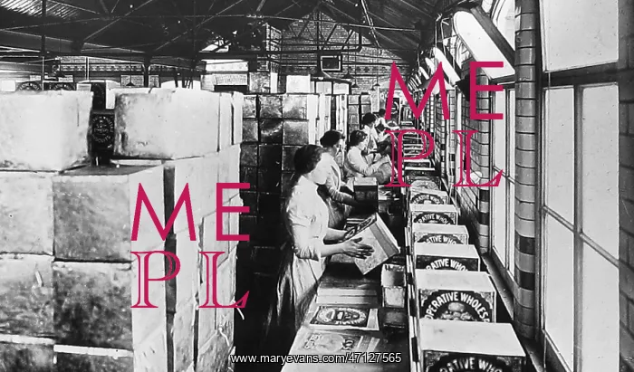 : Crumpsall CWS Biscuit Factory in 1908 : Crumpsall CWS Biscuit Factory in 1908