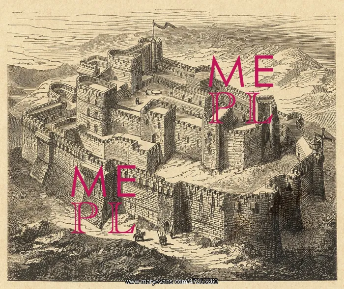 : CRUSADER / KRAK FORTRESS : CRUSADER / KRAK FORTRESS