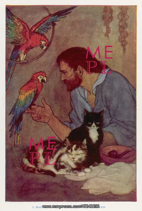 : CRUSOE, PARROTS, CATS : CRUSOE, PARROTS, CATS
