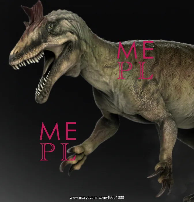 : Crylophosaurus dinosaur, profile view : Crylophosaurus dinosaur, profile view