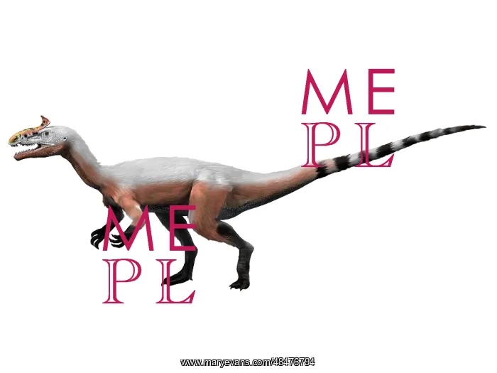 : Cryolophosaurus dinosaur : Cryolophosaurus dinosaur