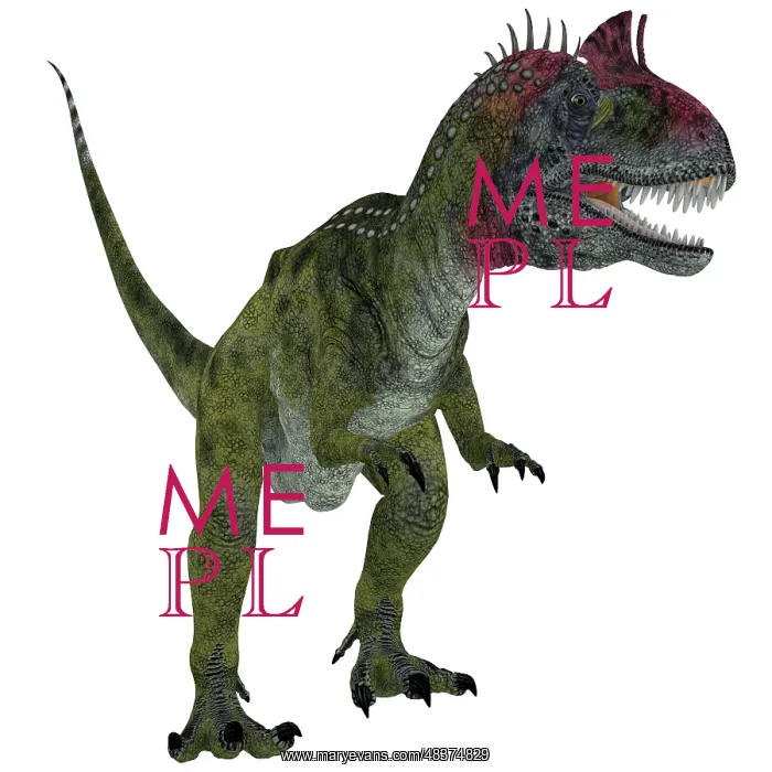 : Cryolophosaurus dinosaur, white background : Cryolophosaurus dinosaur, white background