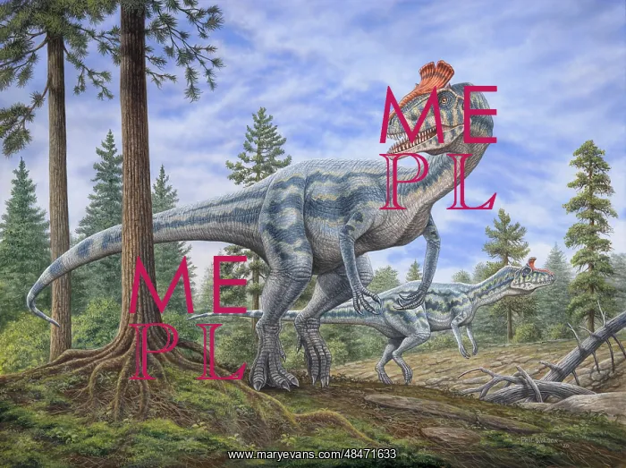 : Cryolophosaurus dinosaurs hunting for prey in : Cryolophosaurus dinosaurs hunting for prey in