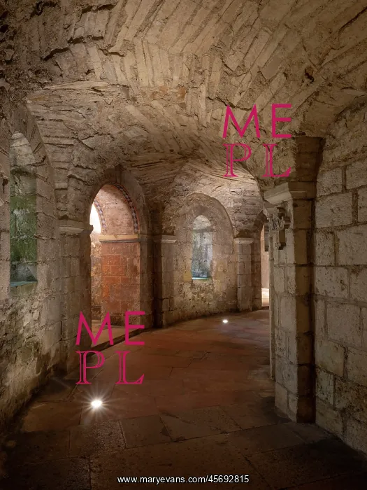 : Crypt, Abbaye Saint-Philibert, Tournus, Burgundy, France : Crypt, Abbaye Saint-Philibert, Tournus, Burgundy, France