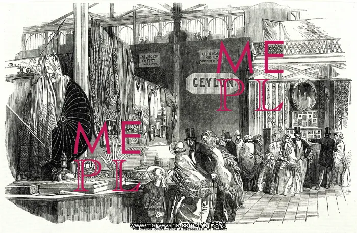 : CRYSTAL PALACE VISITORS 1851 : CRYSTAL PALACE VISITORS 1851