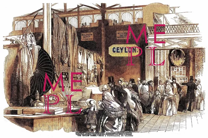 : CRYSTAL PALACE VISITORS 1851 : CRYSTAL PALACE VISITORS 1851