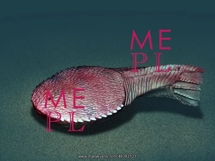 : Ctenaspis is a jawless fish from the Early Devonian of ? : Ctenaspis is a jawless fish from the Early Devonian of ?