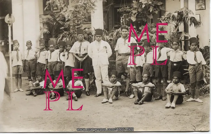 : Cub pack in Colombo, Western Ceylon (Sri Lanka) : Cub pack in Colombo, Western Ceylon (Sri Lanka)