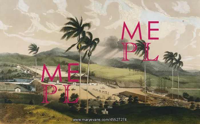 : Cuba (19th c.). Ingenio Guinia : Cuba (19th c.). Ingenio Guinia