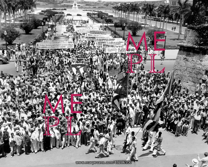 : Cuban political demonstration supported ? : Cuban political demonstration supported ?