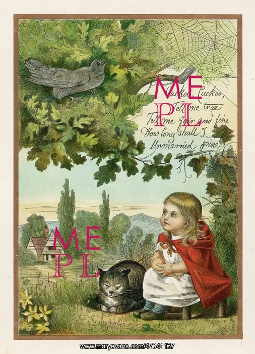 : CUCKOO TELL ME TRUE : CUCKOO TELL ME TRUE