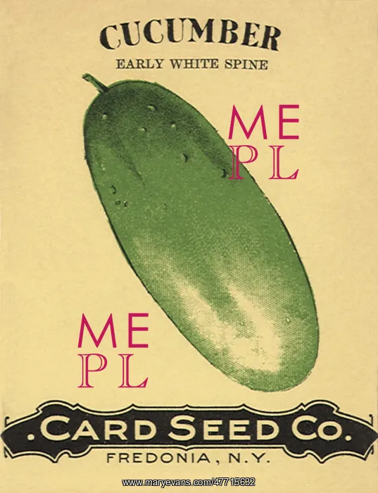  : Cucumber Seed Packet