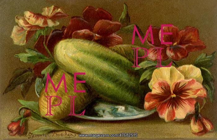 : Cucumbers and Flowers : Cucumbers and Flowers