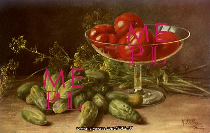 : Cucumbers and Tomatoes : Cucumbers and Tomatoes