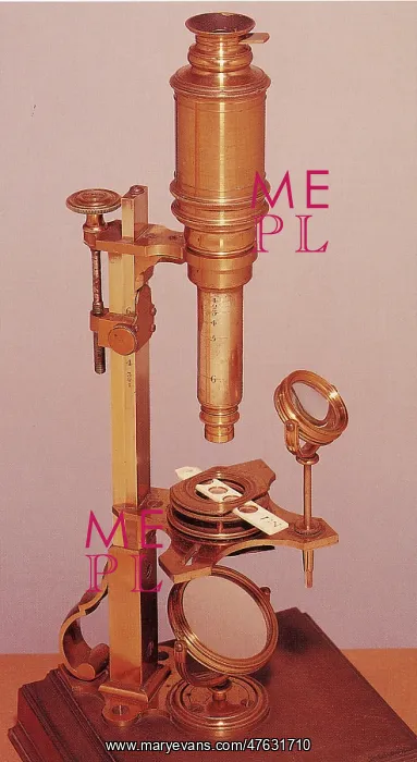 : Cuff compound microscope : Cuff compound microscope