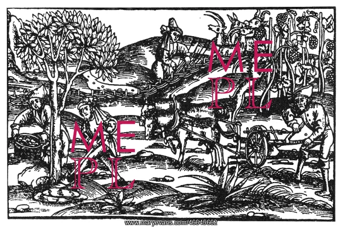: Cultivating a garden : Cultivating a garden