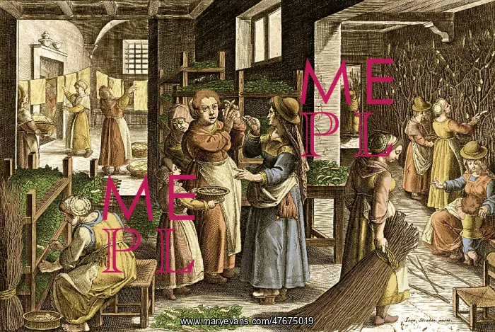 : Cultivating Silkworms, Silk Making in Europe, 16th Century : Cultivating Silkworms, Silk Making in Europe, 16th Century