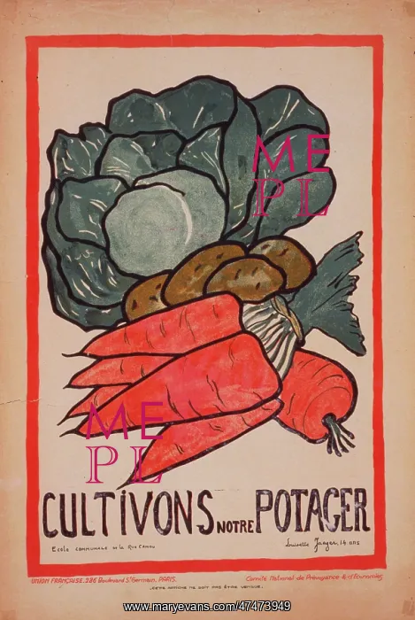 : Cultivons notre potager : Cultivons notre potager