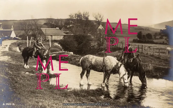 : Cumbrian Rural Scene : Cumbrian Rural Scene
