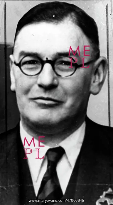 : Cunningham : Cunningham