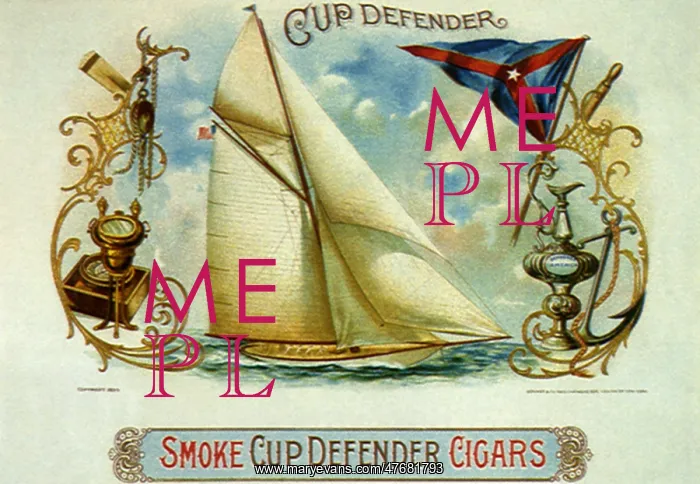  : Cup Defender
