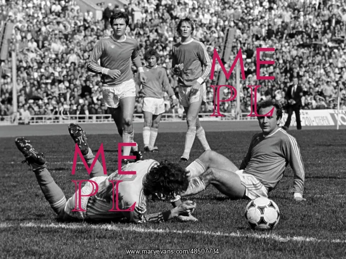 : Cup of USSR, 1981 : Cup of USSR, 1981