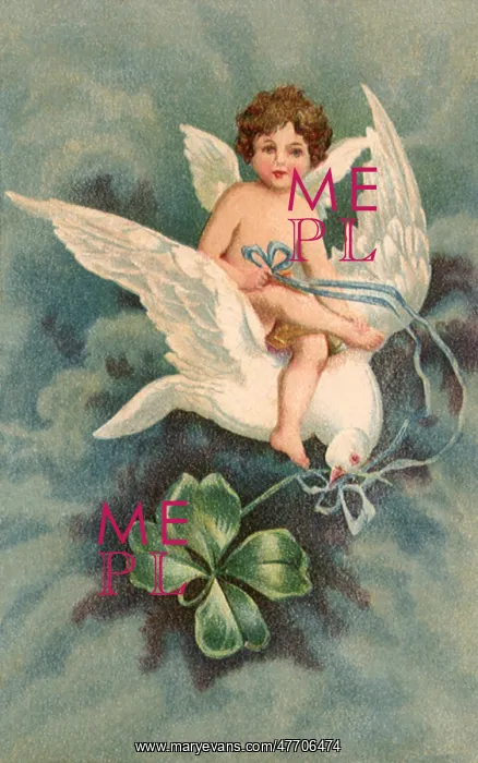  : Cupid and Dove