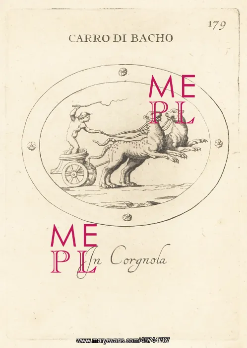 : Cupid driving a chariot of Bacchus : Cupid driving a chariot of Bacchus