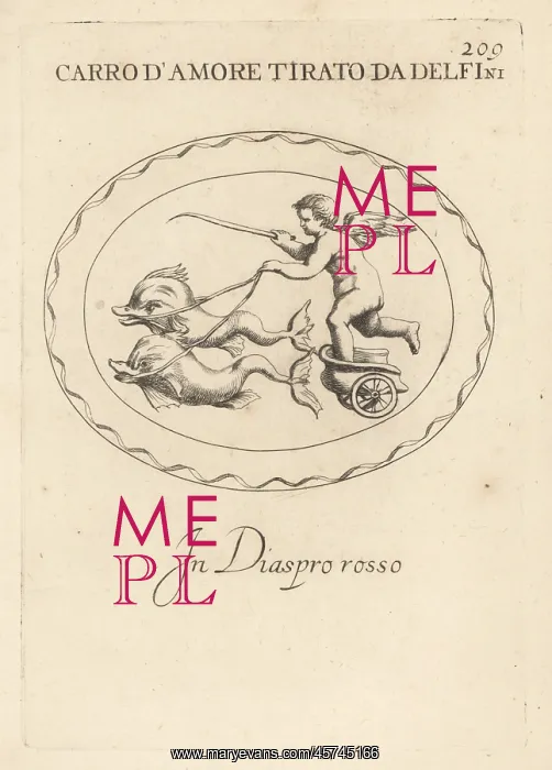 : Cupid driving a chariot drawn by dolphins : Cupid driving a chariot drawn by dolphins