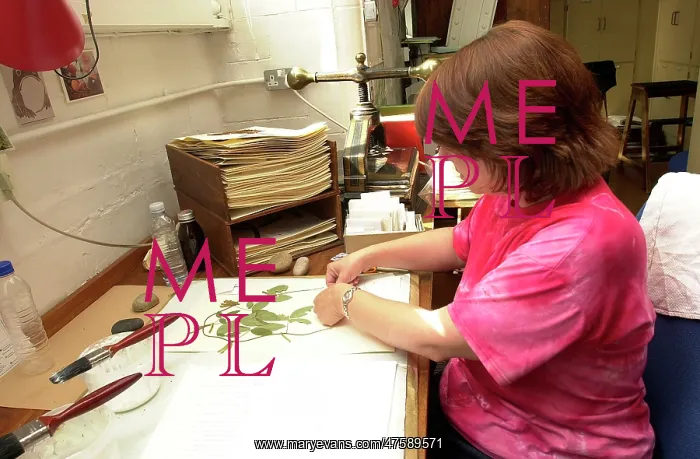 : Curator working in Botany Department : Curator working in Botany Department