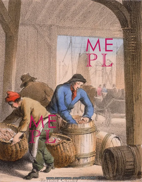 : Curing herring by salting and packing into barrels : Curing herring by salting and packing into barrels