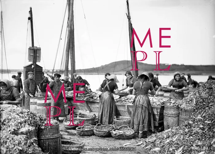 : Curing Herrings, Ardglass : Curing Herrings, Ardglass