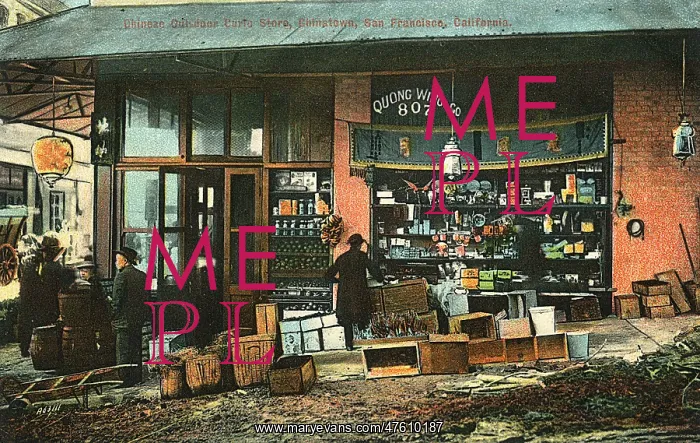 : Curio store in Chinatown, San Francisco, California, USA : Curio store in Chinatown, San Francisco, California, USA
