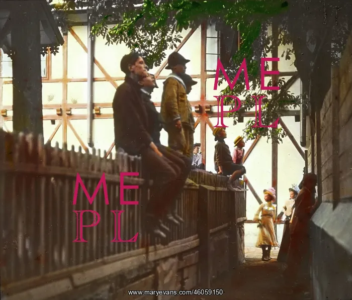 : Curious onlookers sitting on a fence : Curious onlookers sitting on a fence