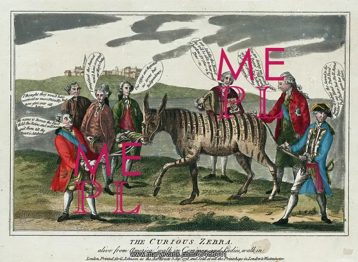 : The curious zebra - alive from America! walk in gem'men and : The curious zebra - alive from America! walk in gem'men and