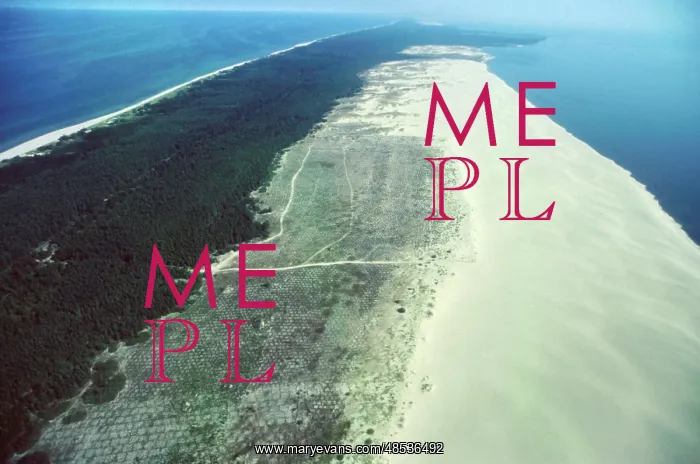 : Curonian Spit in Kaliningrad region, 1996 : Curonian Spit in Kaliningrad region, 1996