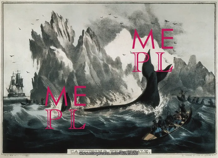 : CURRIER and IVES. Capturing the whale. Litography : CURRIER and IVES. Capturing the whale. Litography
