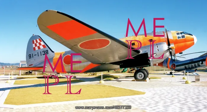 : Curtiss C-46A Commando 91-1138 : Curtiss C-46A Commando 91-1138