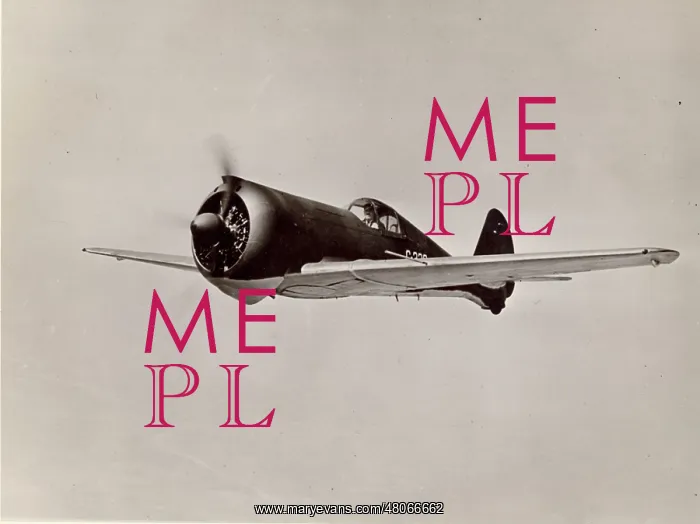 : Curtiss CW-21B Demon : Curtiss CW-21B Demon