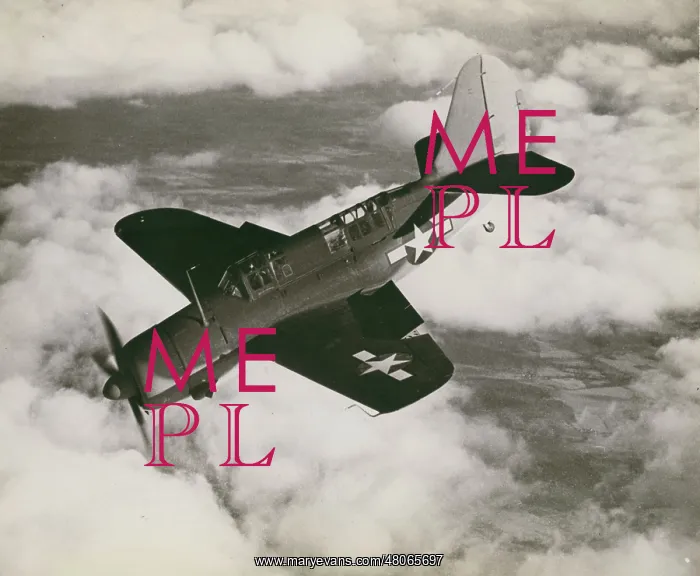 : Curtiss Model 84 SB2C-1 Helldiver : Curtiss Model 84 SB2C-1 Helldiver