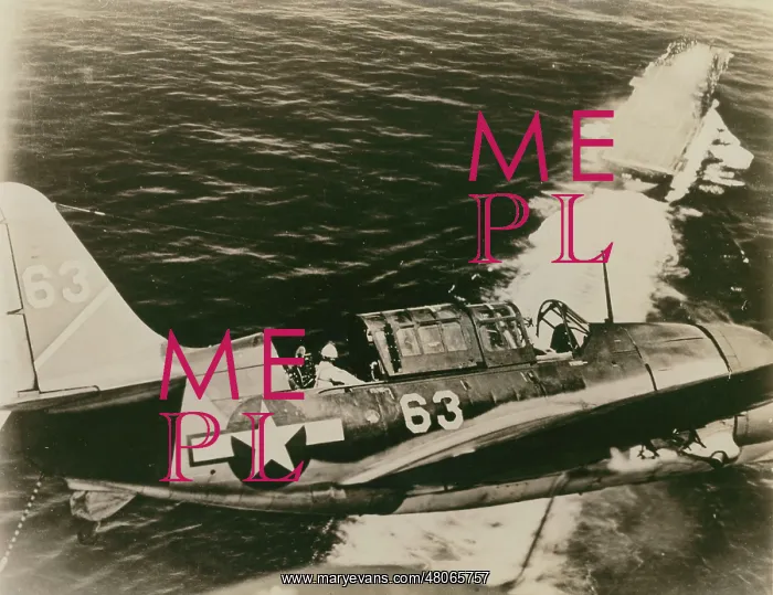 : Curtiss Model 84 SB2C-3 Helldiver : Curtiss Model 84 SB2C-3 Helldiver