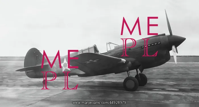  : Curtiss P-40 Warhawk