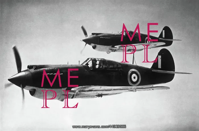  : Curtiss P-40 Warhawk
