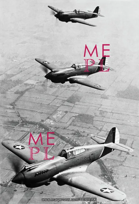  : Curtiss P-40 Warhawk