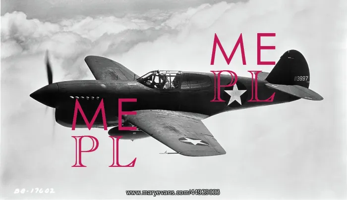  : Curtiss P-40 Warhawk