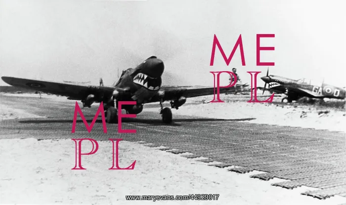  : Curtiss P-40 Warhawk